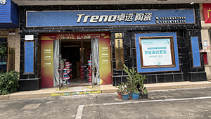 东莞常平卓远能量砖门店